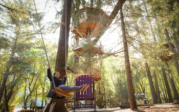 out n about treehouse treesort