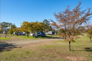 city lights holiday park