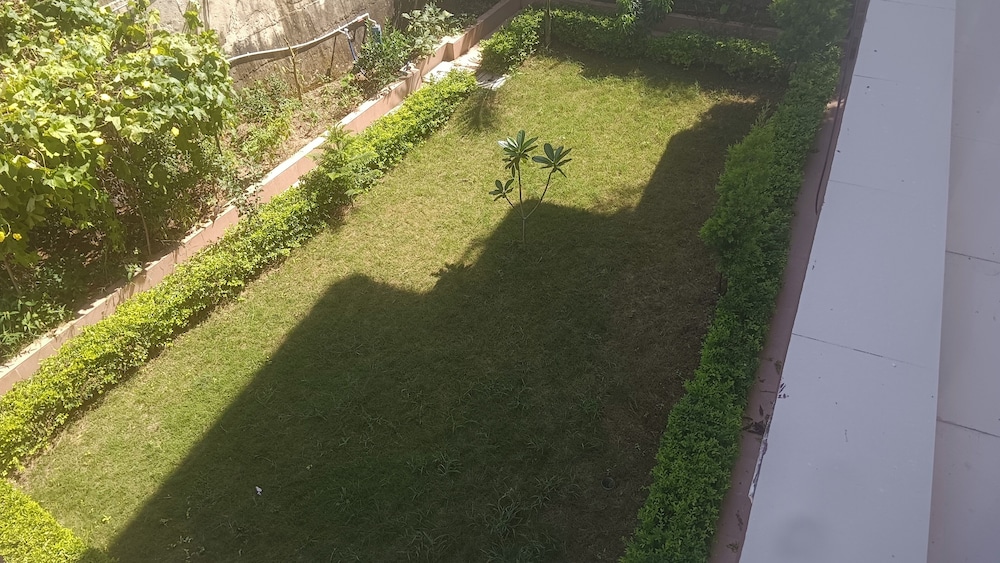 the royal scout homestay