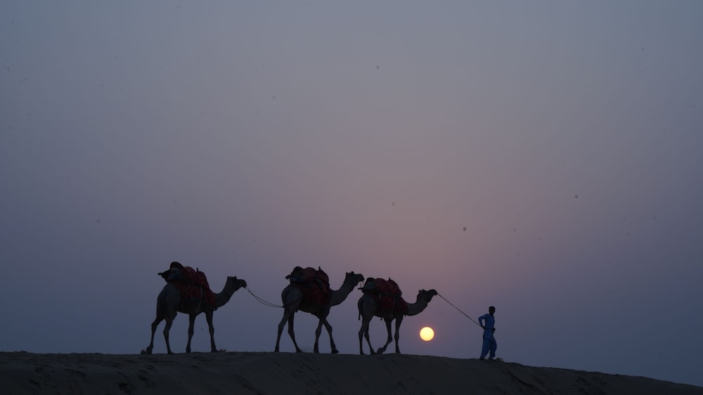 jaisalmer
