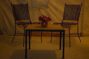 teela jaisalmer luxury desert swiss tent