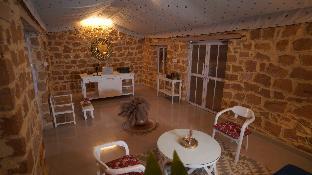 teela jaisalmer luxury desert swiss tent