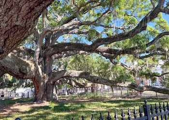 Canopy Cove Stunning 2Br Apt Heart Of Downtown,101 2Nd Ave N Safety Harbor Fl 34695 Usa,2 star