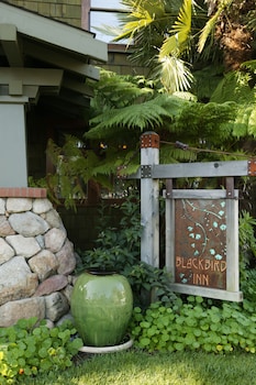 blackbird inn