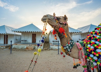happy adventure camp and resort jaisalmer