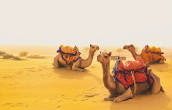 happy adventure camp and resort jaisalmer