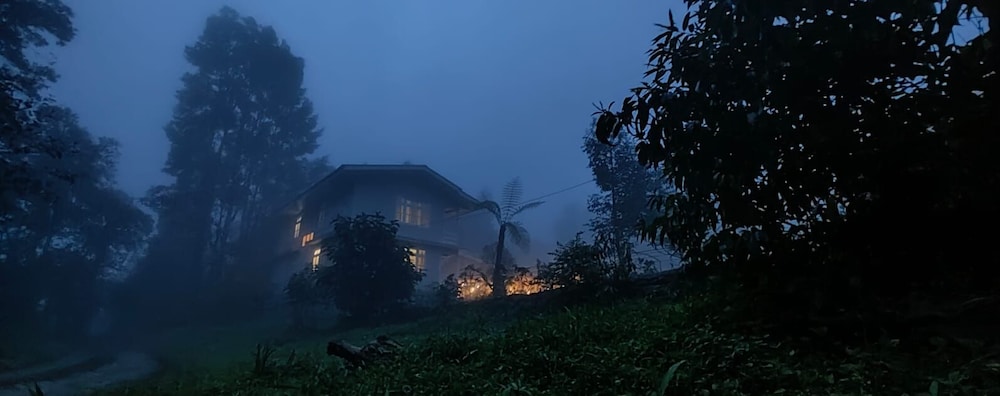 the alpine jungle stay