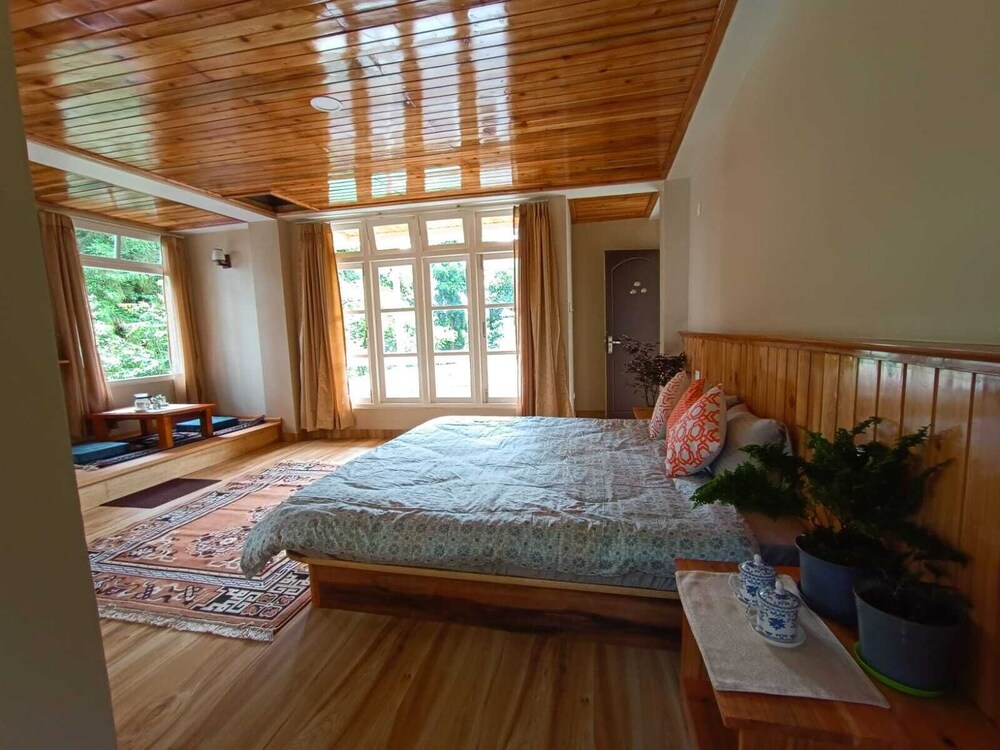 the alpine jungle stay