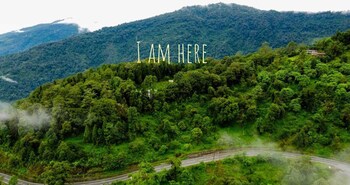 the alpine jungle stay