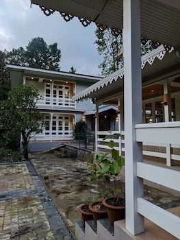 the alpine jungle stay