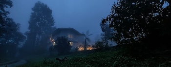 the alpine jungle stay