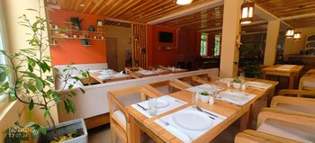 the alpine jungle stay