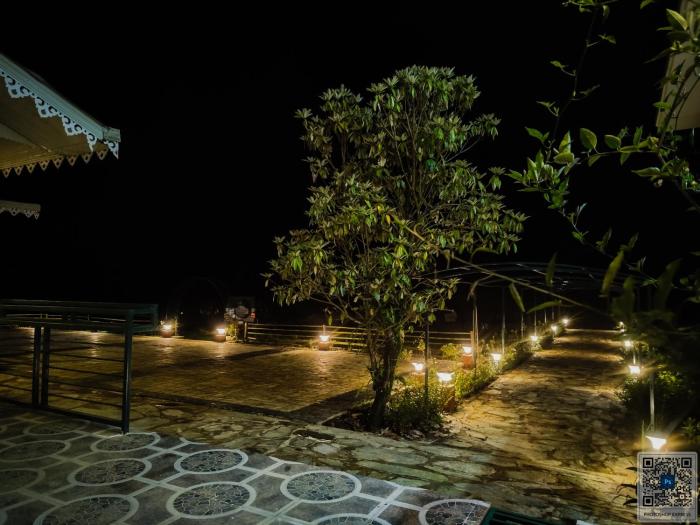 the alpine jungle stay