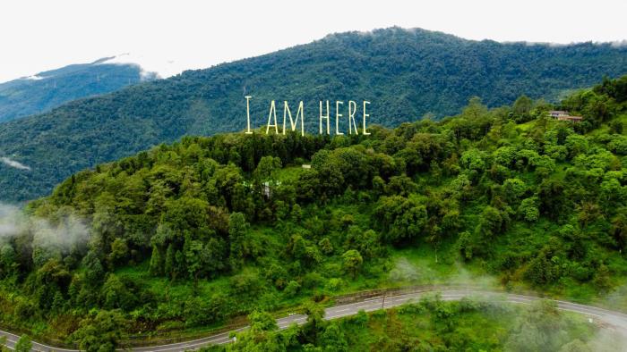 the alpine jungle stay