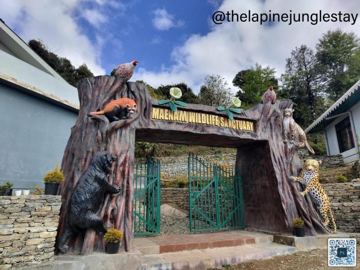 the alpine jungle stay