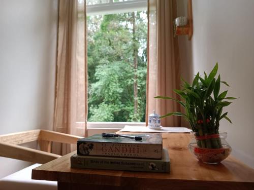 The Alpine Jungle Stay,,3 star