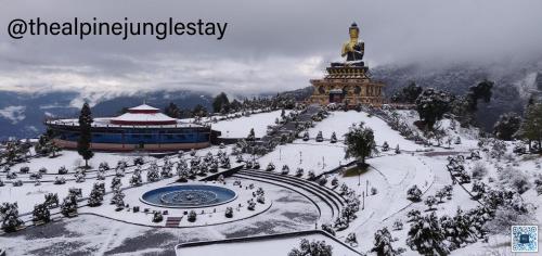 the alpine jungle stay