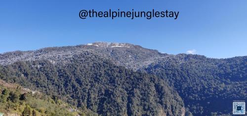 the alpine jungle stay