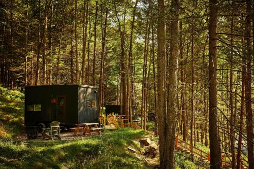 postcard cabins eastern catskills