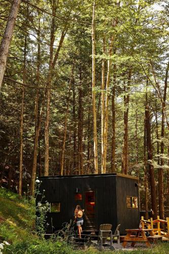 postcard cabins eastern catskills