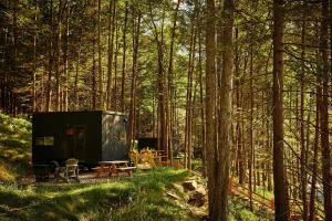 postcard cabins eastern catskills