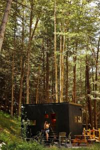 postcard cabins eastern catskills