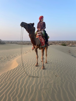 hotel diamond villa safari jaisalmer