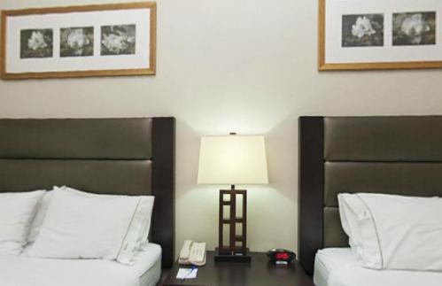 holiday inn express hotel and suites ottawa airport by ihg