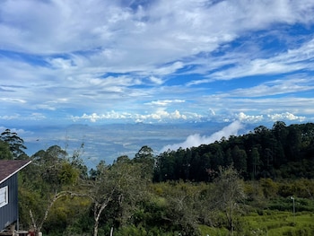 Vatta Merriment,,3 star