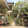 zion backpackers hostel