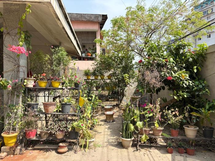 zion backpackers hostel
