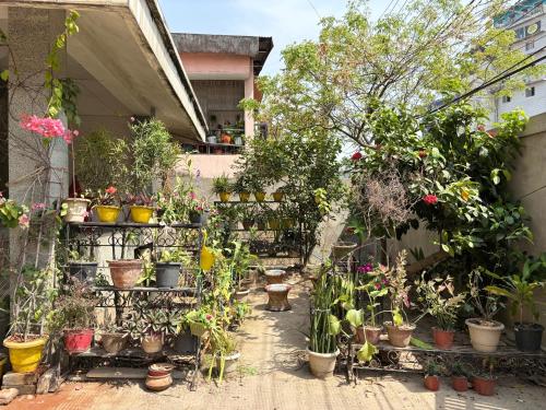 zion backpackers hostel