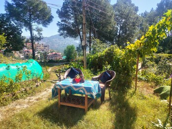 solan
