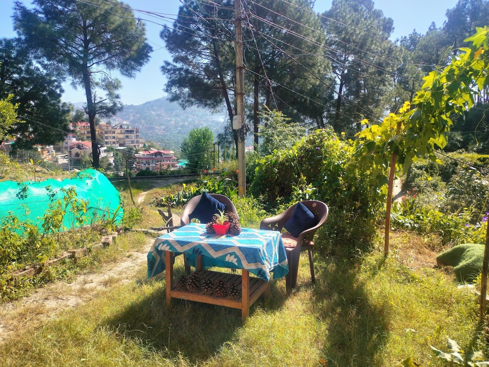 solan