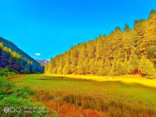 garden villa cottage