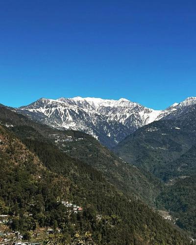 ronglyang lotus villa homestay near mg road