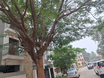 green valley suites