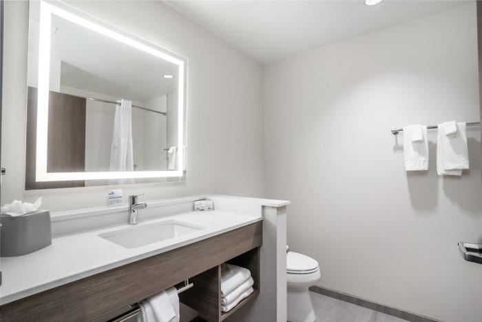 holiday inn express and suites cedar rapids marion