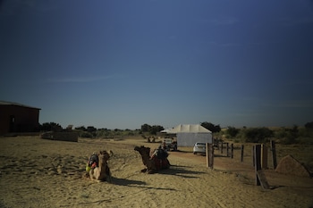 desert abu safari