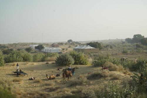 desert abu safari