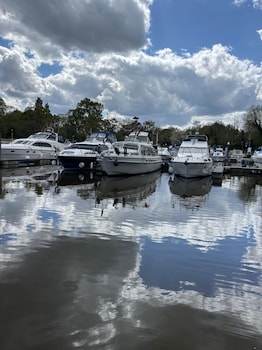windsor