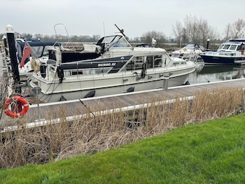 windsor
