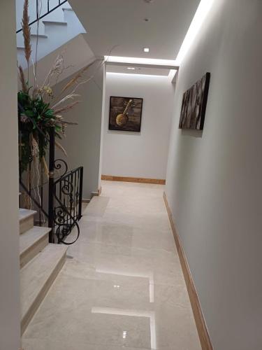 oxygen boutique hotel