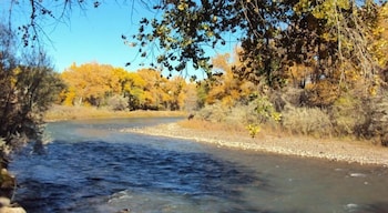 farmington