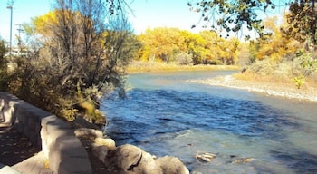 farmington