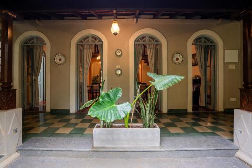 mansao curtorim cgh earth saha