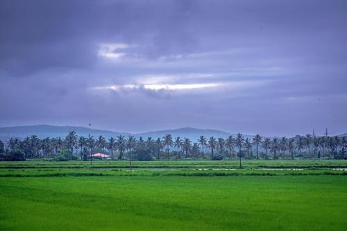 mansao curtorim cgh earth saha