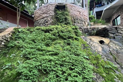 the cascade mae taeng waterfall bungalows