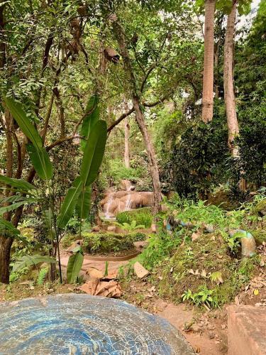 the cascade mae taeng waterfall bungalows