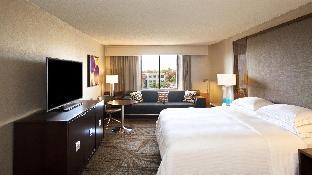 hilton parsippany